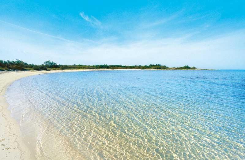 Villa La Dimora di Netta Carovigno Esterno foto